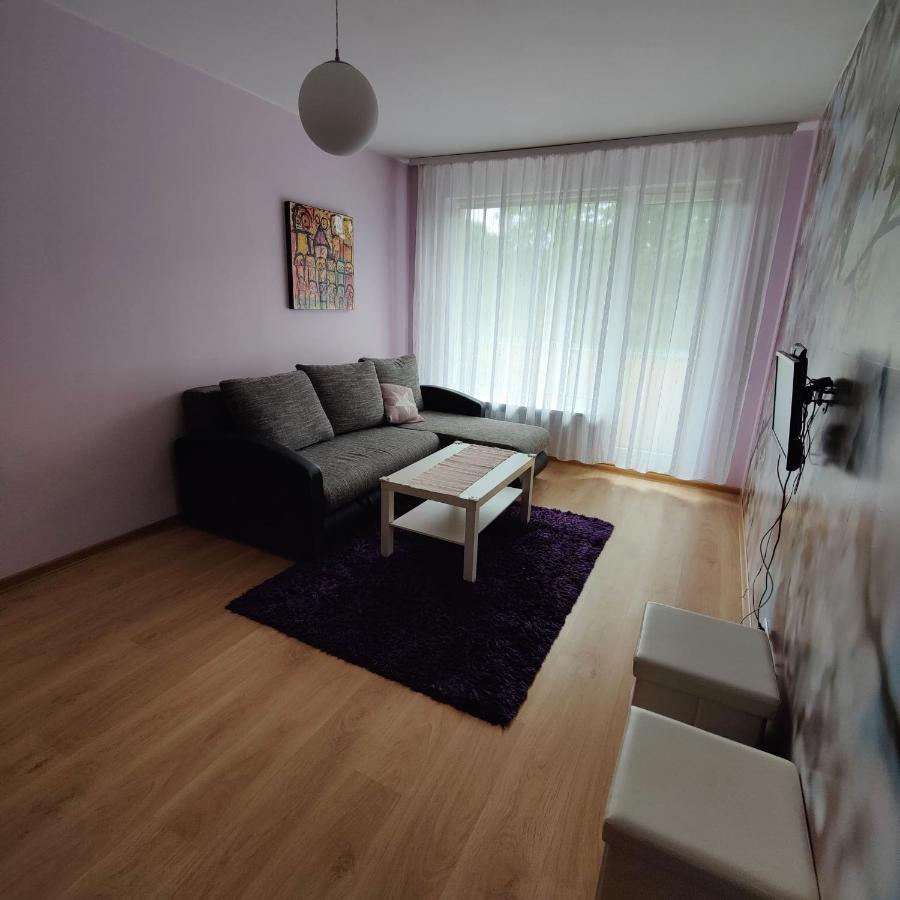 Dainai Apartament シャウレイ エクステリア 写真